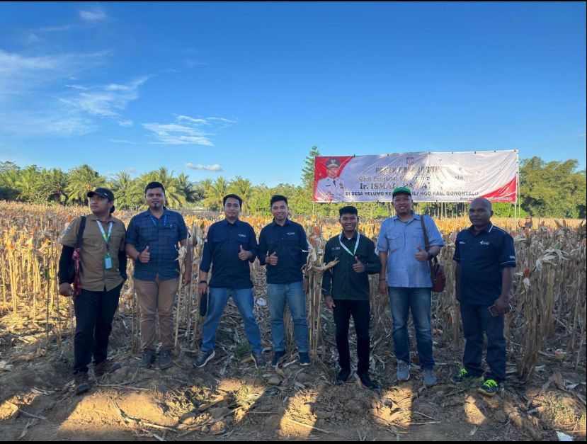 Sahabat Tani Menjadi Narasumber Podcast Suara Tani : Kondisi Jagung Nasional PT. Seger Agro Nusantara Ekspor Jagung 24.000 ton